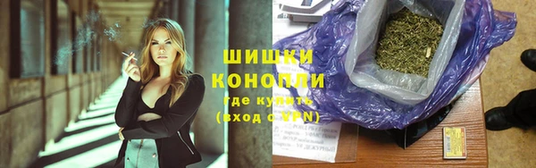 прущие грибы Зеленодольск