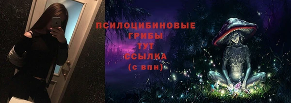 прущие грибы Зеленодольск