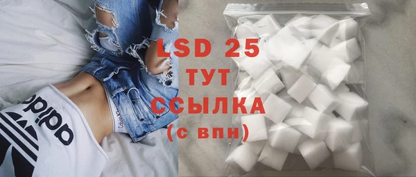хмурый Зеленокумск