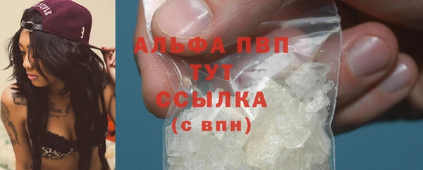 хмурый Зеленокумск