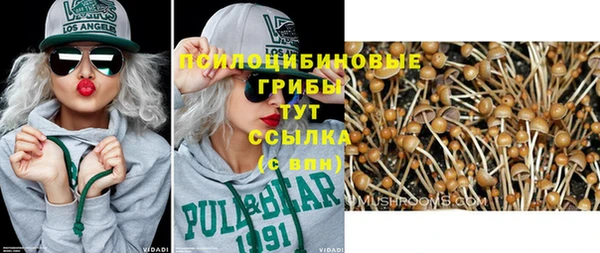 хмурый Зеленокумск