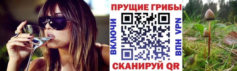 Псилоцибиновые грибы мицелий  Купить  Моршанск 